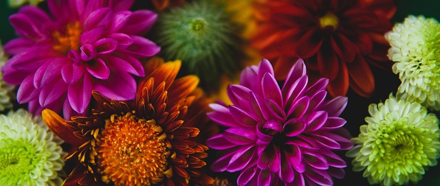 篮球CBA赛场精彩进攻合集